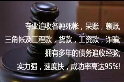 响水催数公司